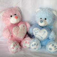 Teddy BEar with Heart