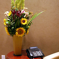 Flowers for your corporate environment